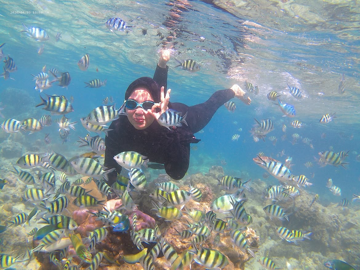 Snorkeling on a Watamu marine park excursion