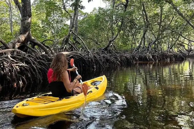 Traditional dhow sailing through Mida Creek's narrow mangrove channels