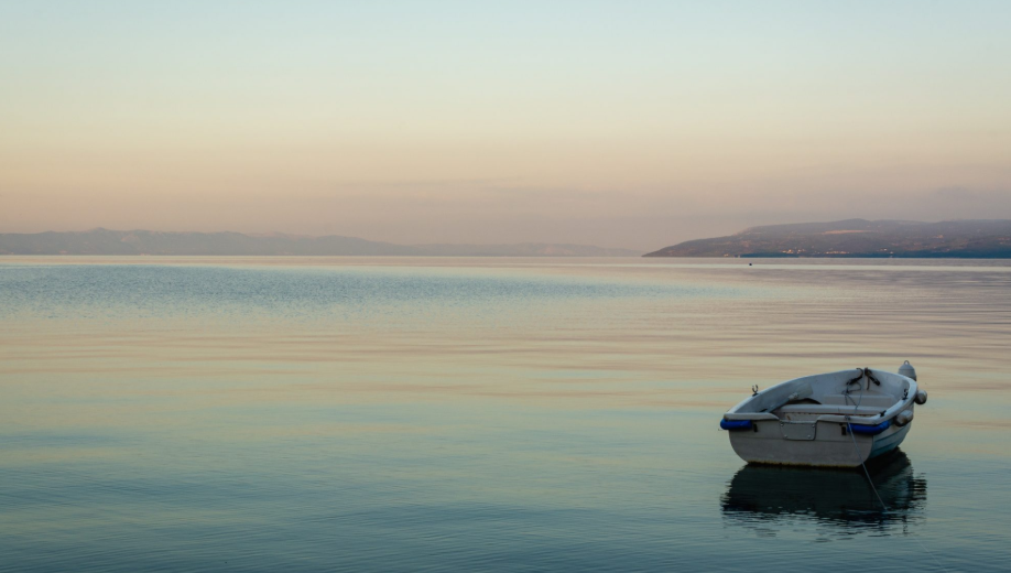 Calm morning sea outside the reef, ideal conditions for dolphin spotting
