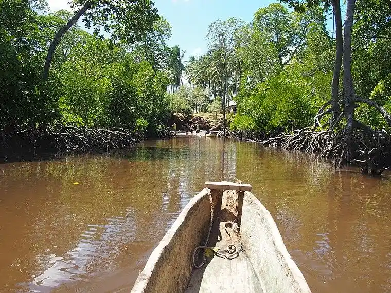 Mida Creek mangrove channels, an optional add-on to the Sudi Island excursion