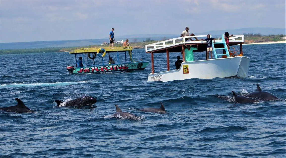 What to do if you get seasick during a Watamu boat excursion