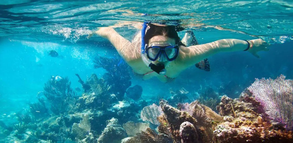 Snorkeling in the coral gardens of Watamu Marine Park