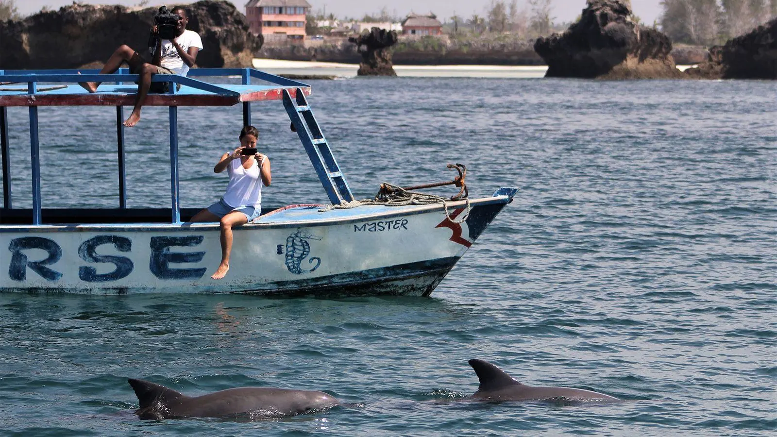 Dolphin watching during a Watamu Marine Park boat tour