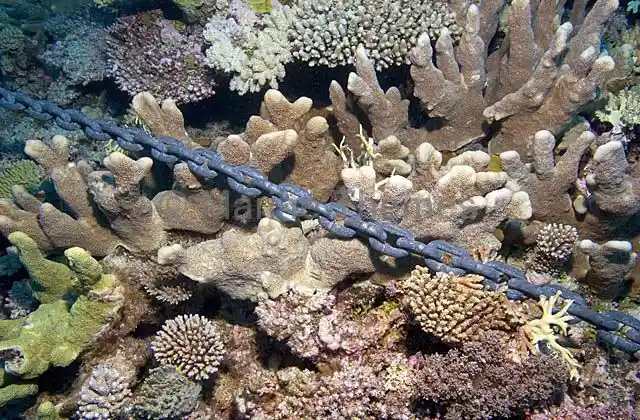 Anchor chain damage on coral, the harm Watamu's mooring buoy system prevents