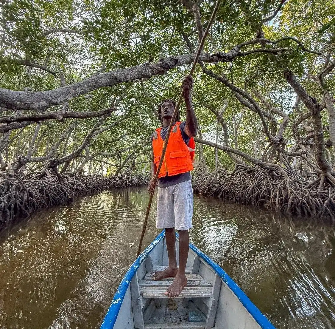 Mangrove waterways of Mida Creek near Watamu, Kenya